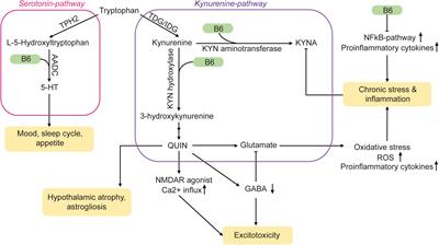 The Way to a Human’s Brain Goes Through Their Stomach: Dietary Factors in Major Depressive Disorder